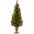 National Tree Montclair Spruce Entrance Tree with Clear Lights 4'