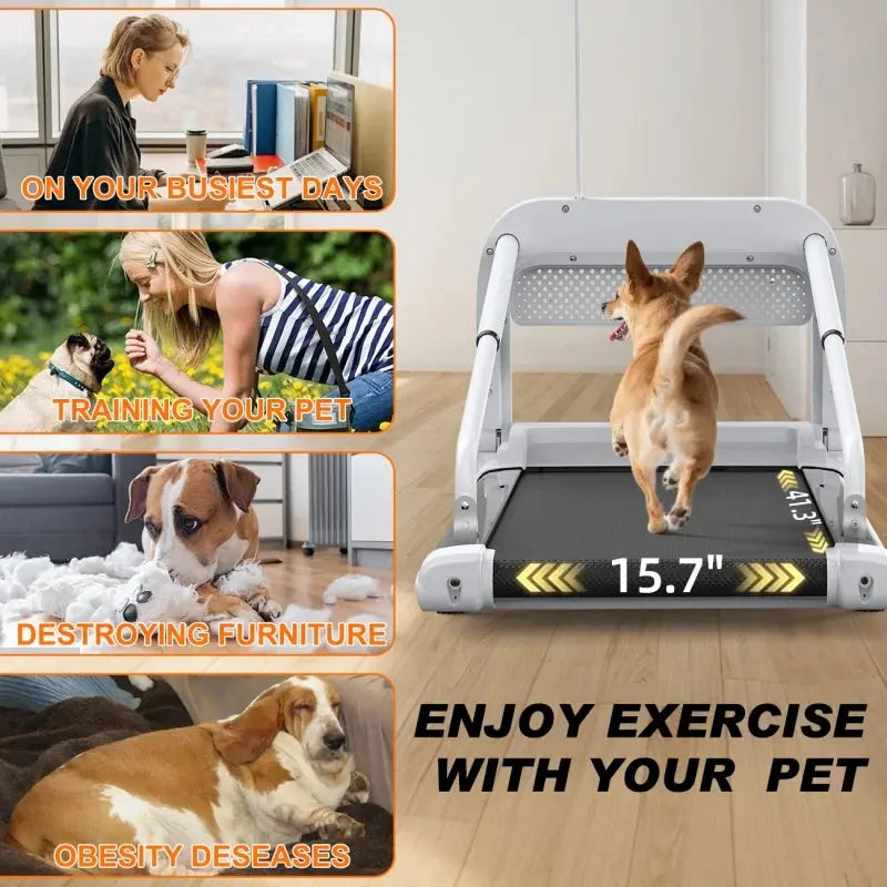 Witaxima 2025 Smart Pet Treadmill â€?Ultra-Quiet, Speed-Adjustable Exercise Machine for Small to Medium Dogs