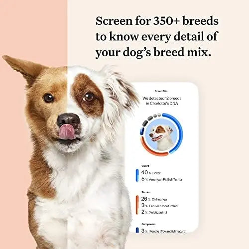 Wisdom Panel Premium Dog DNA Kit: 265+ Health Tests, 365+ Breeds, 50+ Traits, Ancestry & Relatives â€?1 Pack