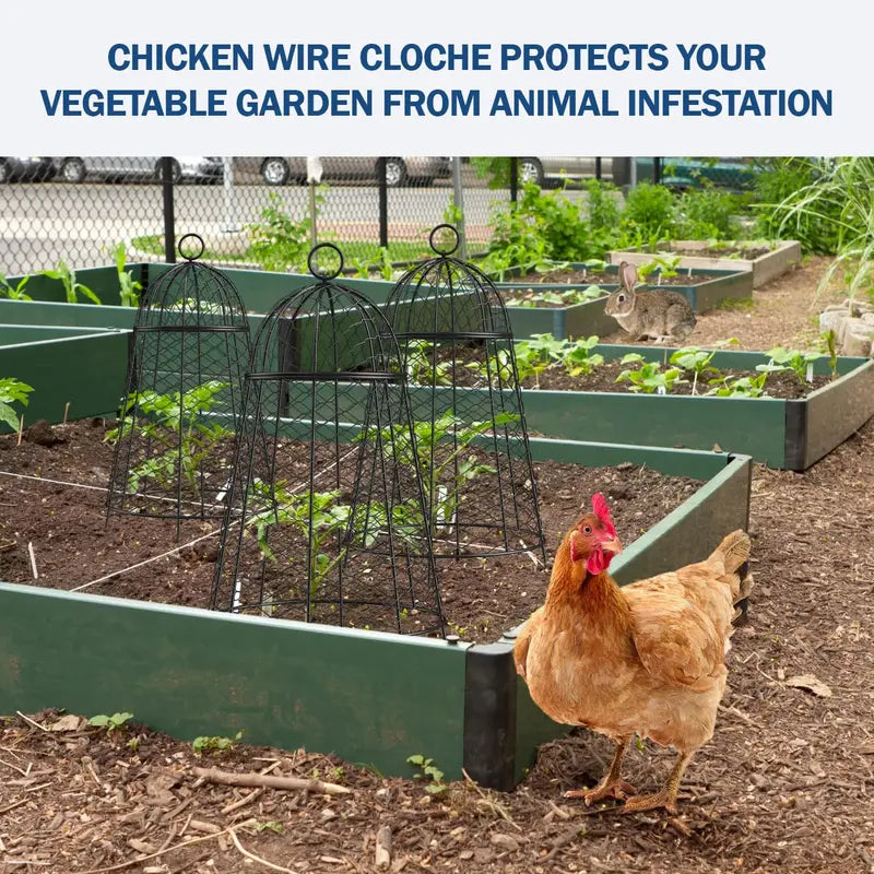 Yolid 6-Pack Garden Cloches with Chicken Wire Frame for Plant Protection