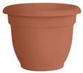 Bloem Ariana Self-Watering Planter, 12"