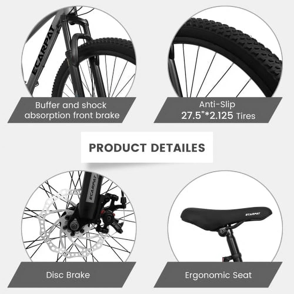 Raistyw 700C Hybrid Road Bike, 16 - Speed Outdoor Mountain Bike with Disc Brakes, Light Weight Aluminum Frame, Racing Bike for Men Women, L Size, Black