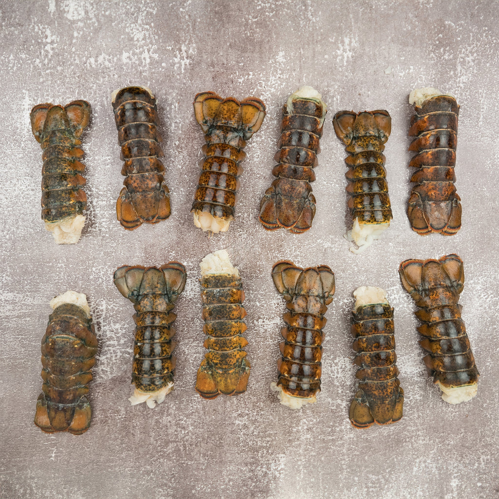 Coastal Seafood Frozen Lobster Tails 12 Count (6 - 8 oz.)