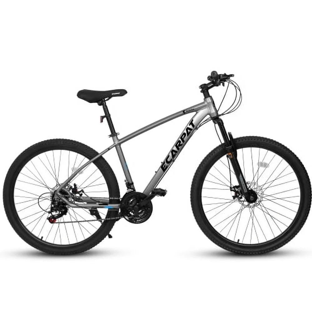 Raistyw 700C Hybrid Road Bike, 16 - Speed Outdoor Mountain Bike with Disc Brakes, Light Weight Aluminum Frame, Racing Bike for Men Women, L Size, Black