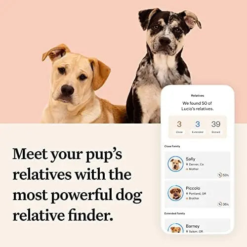 Wisdom Panel Premium Dog DNA Kit: 265+ Health Tests, 365+ Breeds, 50+ Traits, Ancestry & Relatives â€?1 Pack