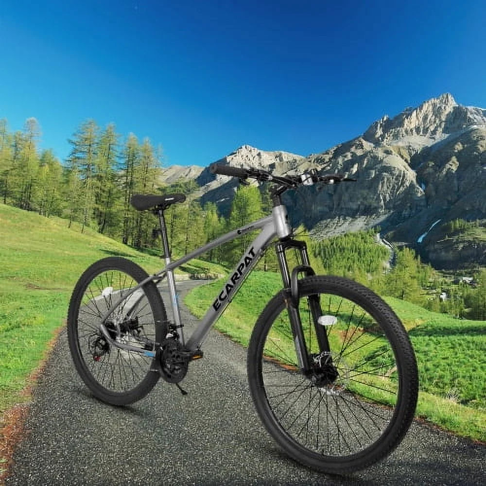 Raistyw 700C Hybrid Road Bike, 16 - Speed Outdoor Mountain Bike with Disc Brakes, Light Weight Aluminum Frame, Racing Bike for Men Women, L Size, Black