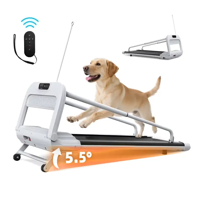 Witaxima 2025 Smart Pet Treadmill â€?Ultra-Quiet, Speed-Adjustable Exercise Machine for Small to Medium Dogs