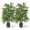 Twin 50-Inch Artificial Bamboo Trees â€?PE Trunk & Natural-Looking Faux Bamboo Plants