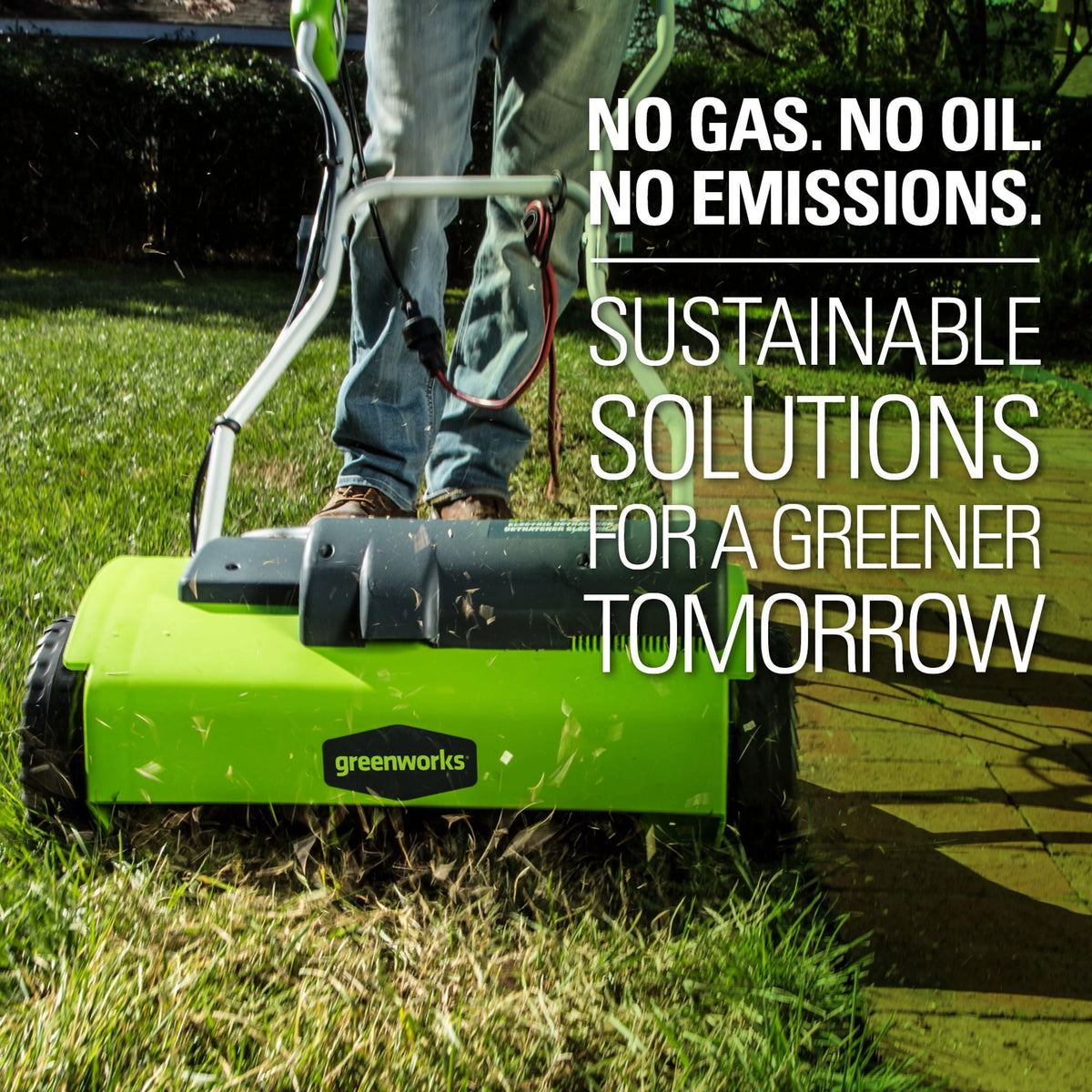 Greenworks 10 Amp 14 - Inch Corded Electric Dethatcher, 27022