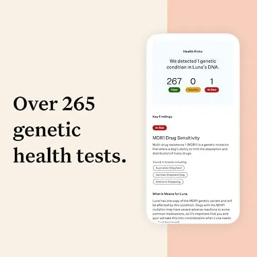 Wisdom Panel Premium Dog DNA Kit: 265+ Health Tests, 365+ Breeds, 50+ Traits, Ancestry & Relatives â€?1 Pack