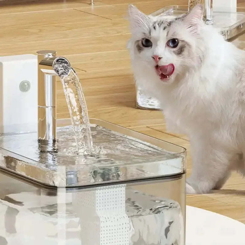 Wireless Rechargeable Cat Fountain â€?1.5L Motion-Activated Design with Quiet Pump & Filter for Small Pets