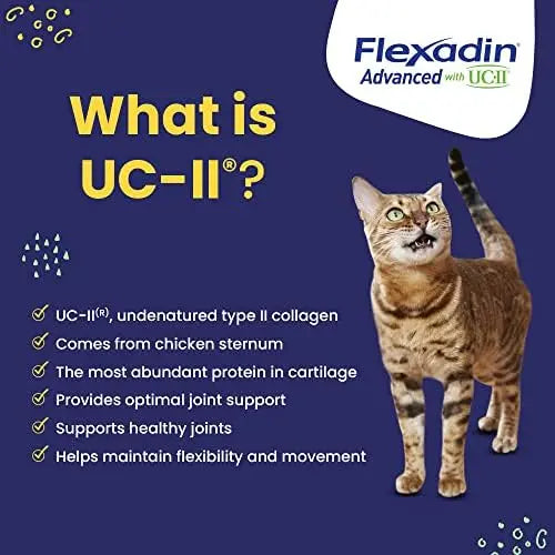 Vetoquinol Flexadin Advanced Hip & Joint Supplement with UC-II Collagen, 60 Vet-Approved Chews for Dogs & Cats