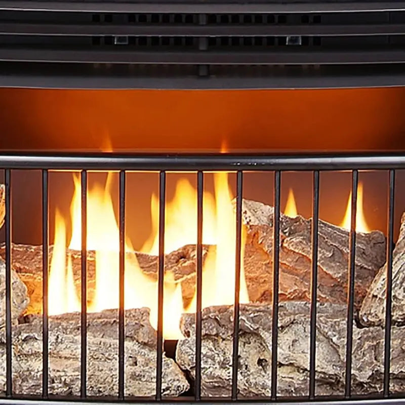 Vent-Free Dual-Fuel Freestanding Fireplace â€?25,000 BTU with Built-In Thermostat