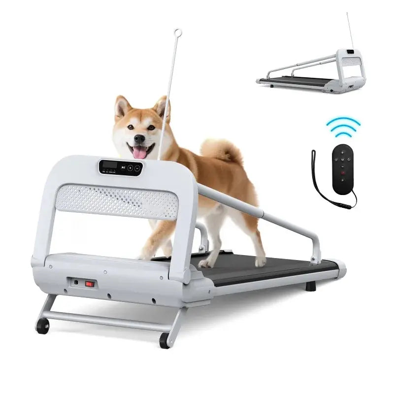 Witaxima 2025 Smart Pet Treadmill â€?Ultra-Quiet, Speed-Adjustable Exercise Machine for Small to Medium Dogs