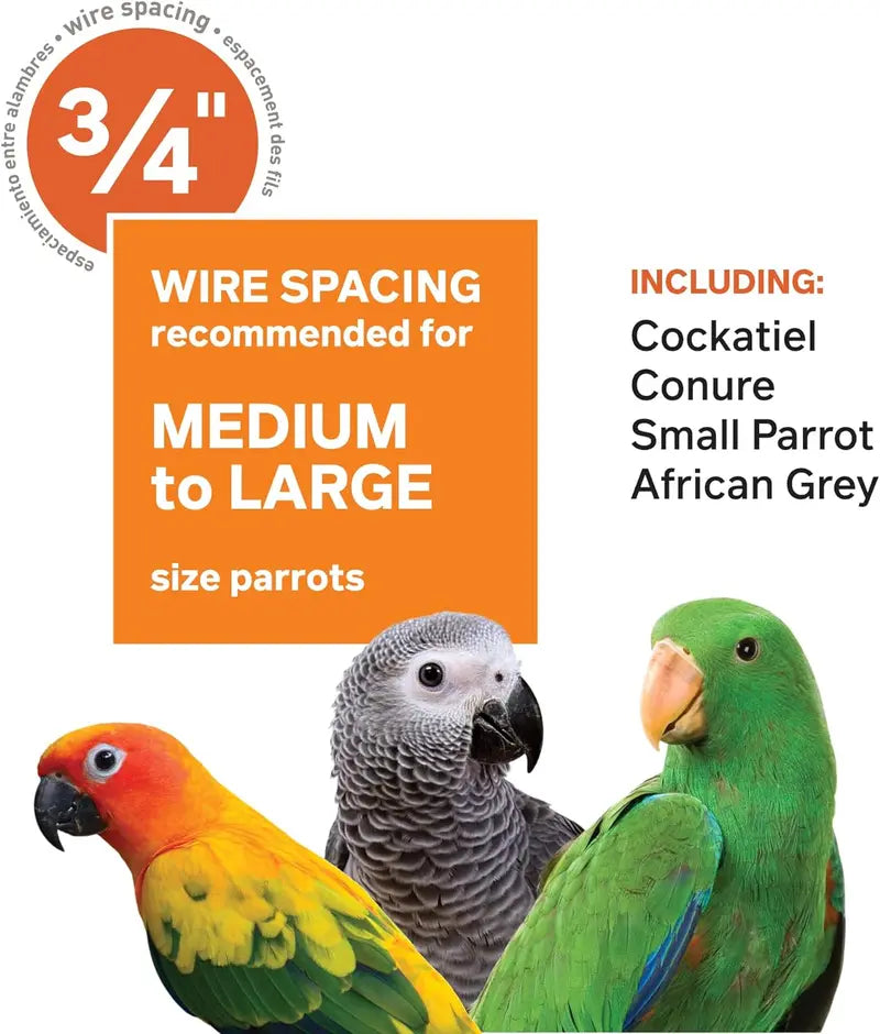 Wrought Iron Select Bird Cage â€?Chalk White, 36â€?x 24â€?x 66â€? Spacious Avian Habitat