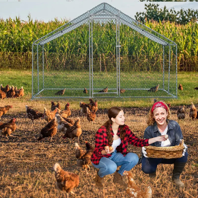 ZGBY 10 X 10Ft Metal Walk In Chicken Coop Run Cage Rabbit Hutch Hen House Enclosure