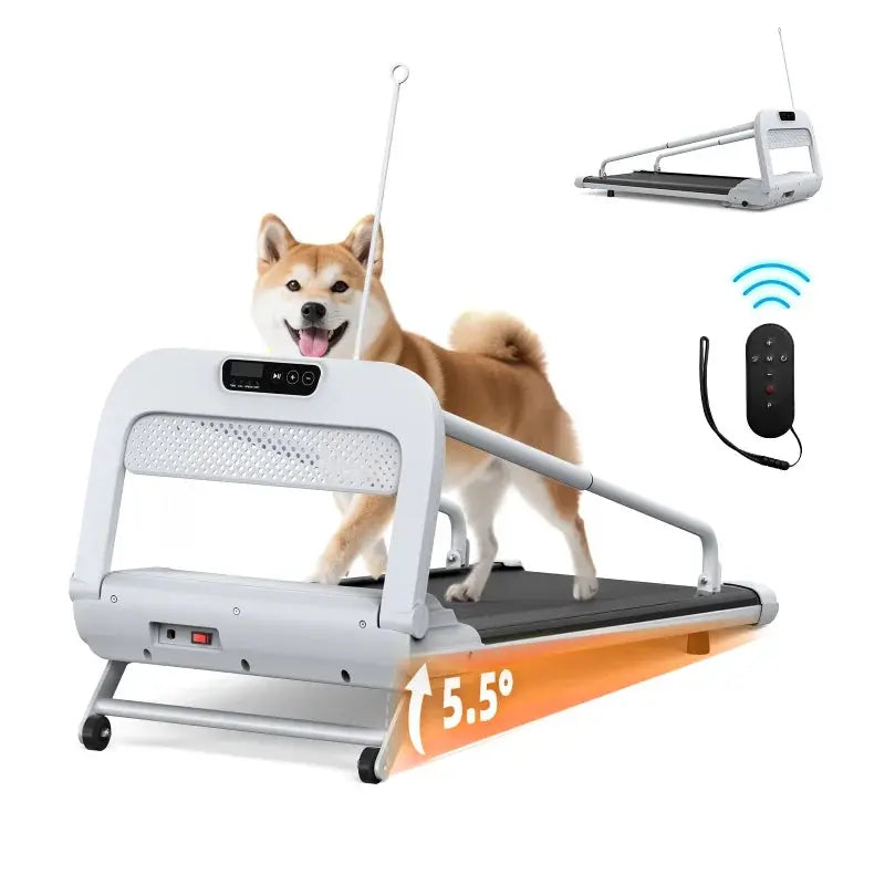 Witaxima 2025 Smart Pet Treadmill â€?Ultra-Quiet, Speed-Adjustable Exercise Machine for Small to Medium Dogs