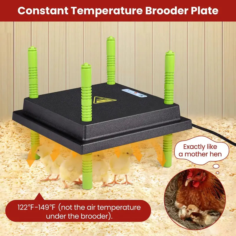 Tetuga Chick Brooder Box â€?Insulated Starter Kit for Newborn Chicks & Poults