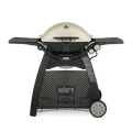 Weber Q 3200 Portable Gas Grill â€?Premium Stainless Steel Cooking System