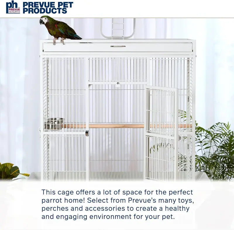 Wrought Iron Select Bird Cage â€?Chalk White, 36â€?x 24â€?x 66â€? Spacious Avian Habitat