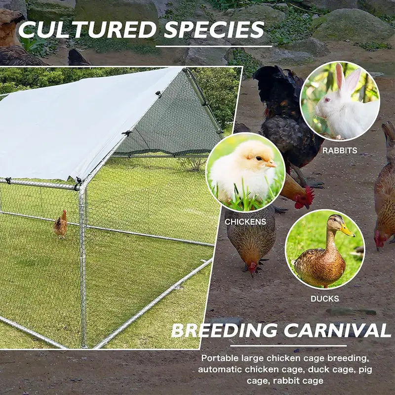 Walk-In Heavy-Duty Metal Chicken Coop for Backyard Poultry Housing