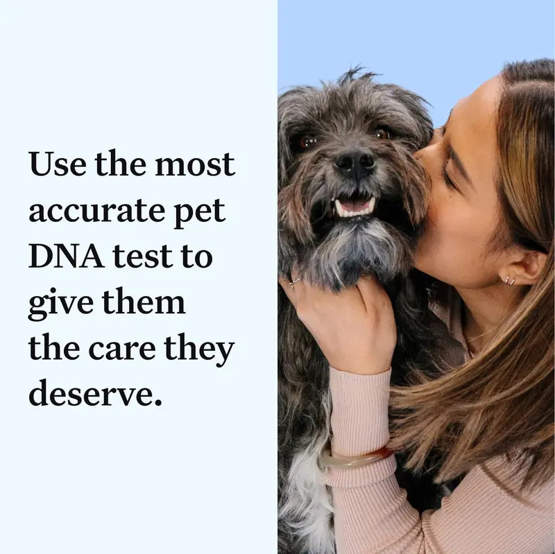 Wisdom Panel Essential: Accurate 365+ Breed DNA Test, 30 Health Checks, 50+ Traits, Ancestry & Relatives