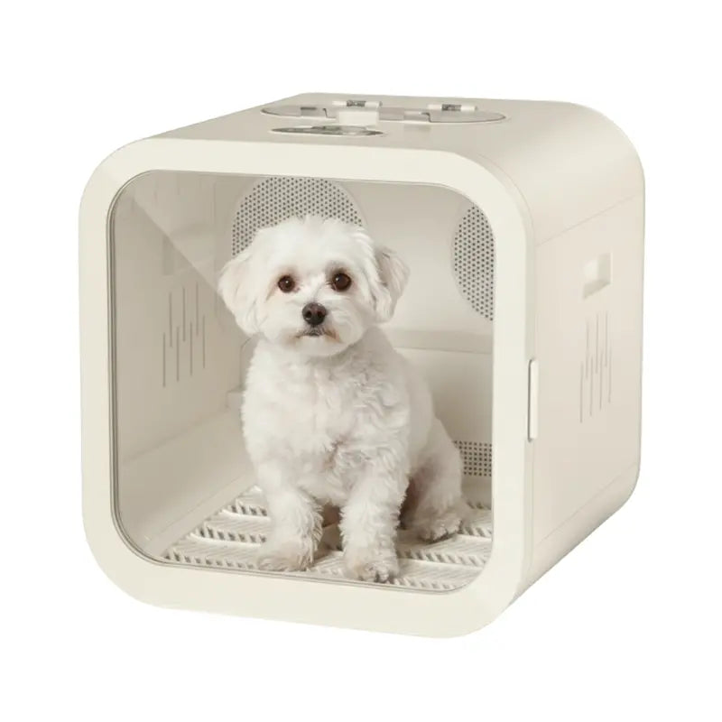 Temperature-Regulated Automatic Pet Drying Station for Cats and Small Dogs
