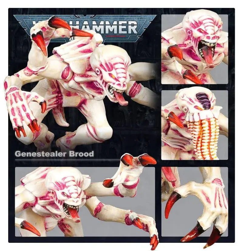 Warhammer 40K Tyranids Brood Swarm Battleforce Starter Collection
