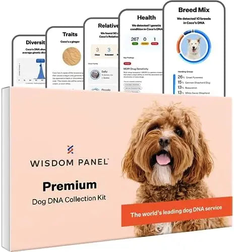 Wisdom Panel Premium Dog DNA Kit: 265+ Health Tests, 365+ Breeds, 50+ Traits, Ancestry & Relatives â€?1 Pack
